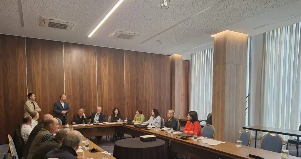 Establishment of Patient Councils: Insights into the process, drawing from experiences of other municipalities